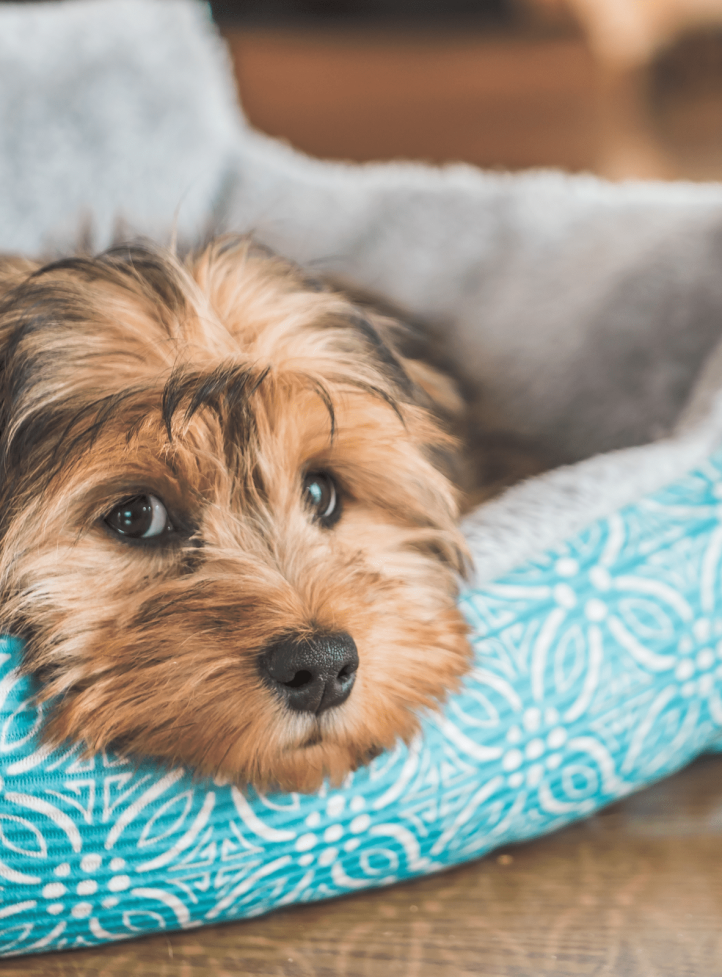 250843254 413700950345804 5481842466382066291 n 1